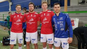 Engesland, Gausdal, Lauvsland og Skårdal med hvert sitt mål mot Donn.