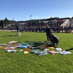 50 premier fra Umbro Scan Trade