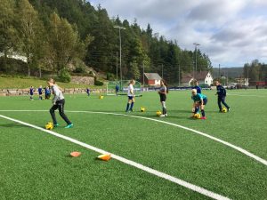 71087294_540271013375842_6164196213508800512_n