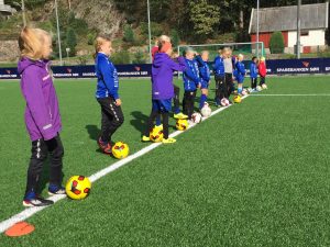 71966525_2548016301926256_805251937879457792_n