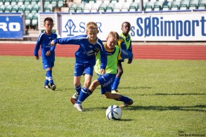 G2006: David dribler 2