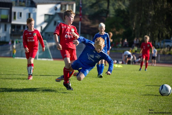 Trening med koordinasjonsstige