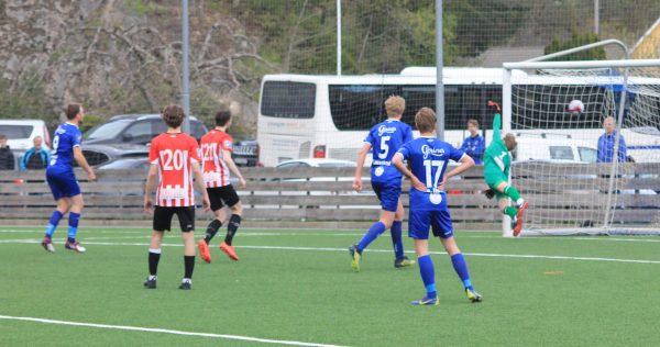 Vindbjart – Vardeneset 3-3(1-0)