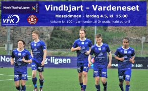 Vardeneset kampannonse web