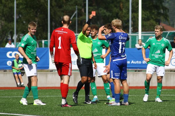 Vindbjart – MK 1-3(1-2)
